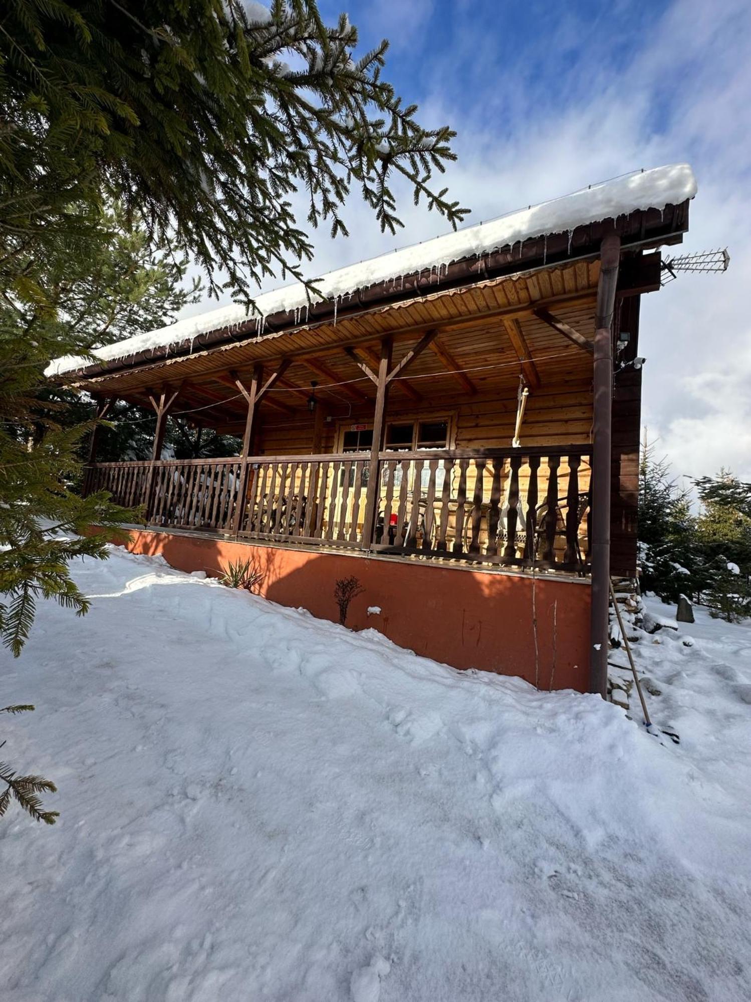 Urocza Chata Z Sauna W Bieszczadzkim Parku Krajobrazowym Villa Bukowiec  Exterior photo